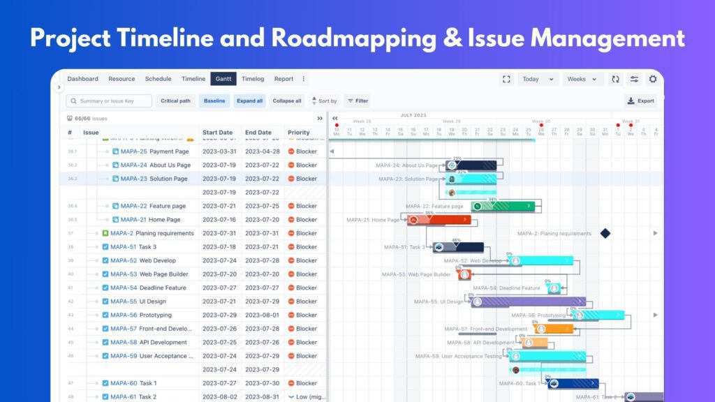 Project Timeline and Roadmapping & Issue Management